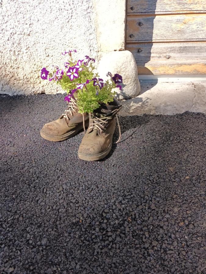 Gite De La Saugiat Le Fied Kültér fotó